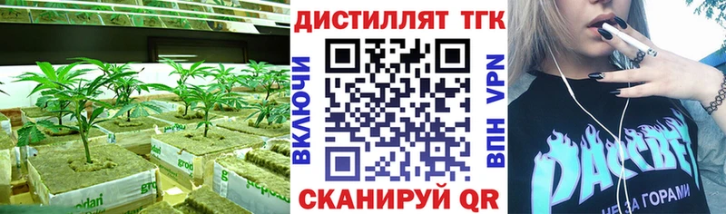 omg зеркало  Безенчук  Дистиллят ТГК THC oil 